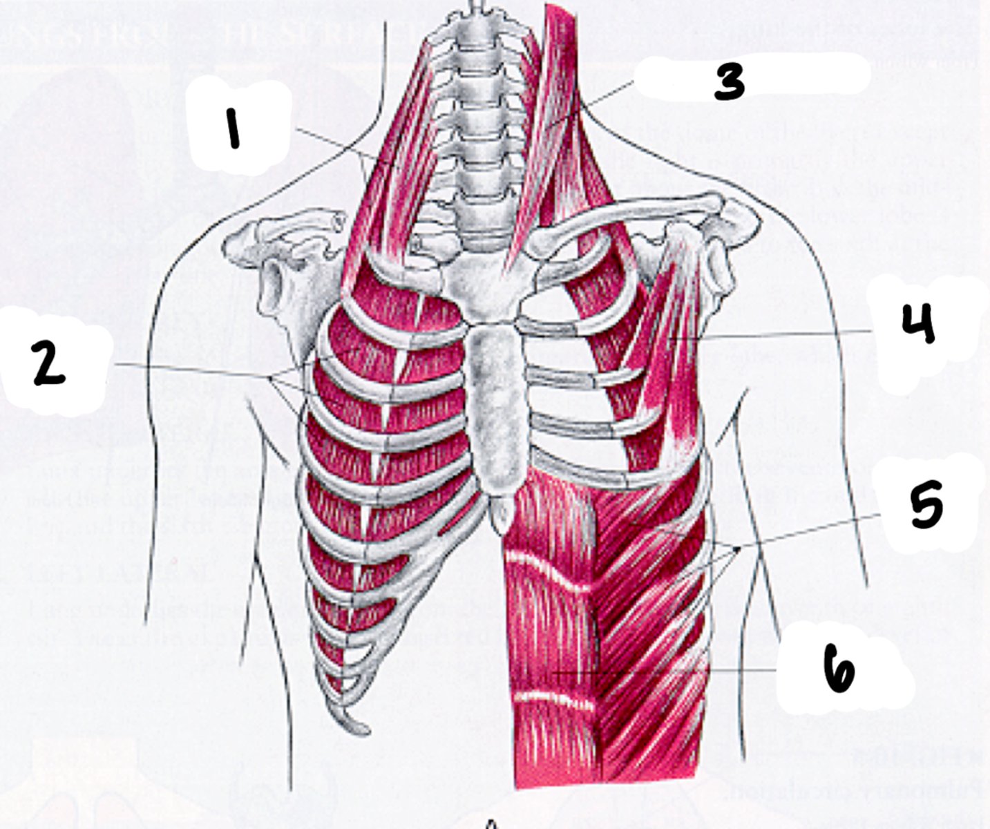 <p>4</p>