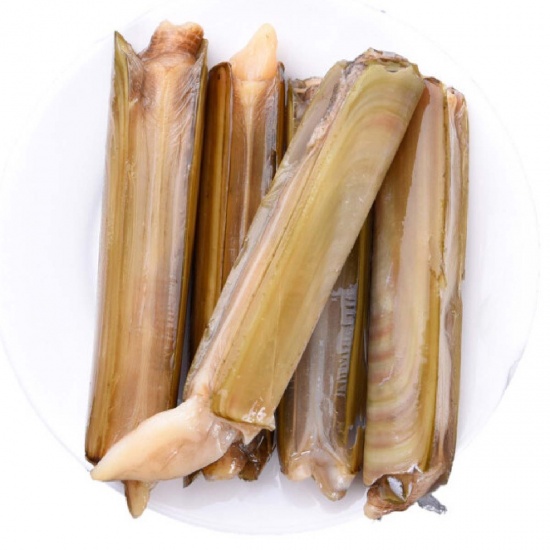 <p>razor clam</p>