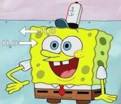 <p>Balance of water inside and outside of cell is equal</p>