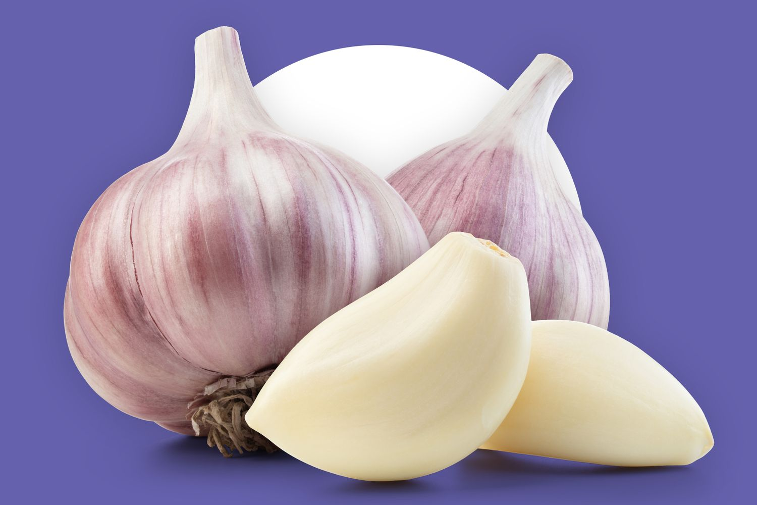 <p>What kind of USO is a Garlic?</p>