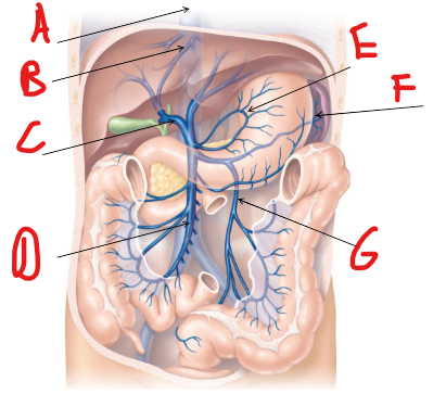 <p>Label G</p>