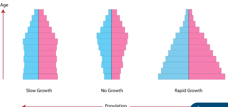 <p>Indicates self-replacement where birth rates equal death rates.</p>
