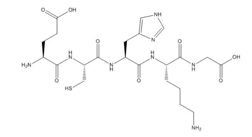 <p>Name the following peptide as one long word.</p>