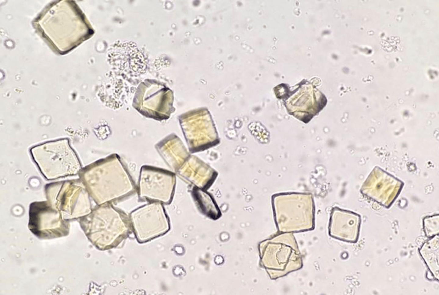 <p>pH <7.5</p>