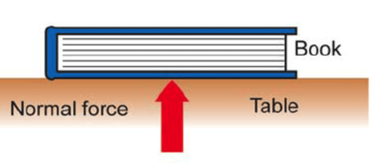 <p>the force perpendicular to a surface that prevents an object from falling through the surface</p>