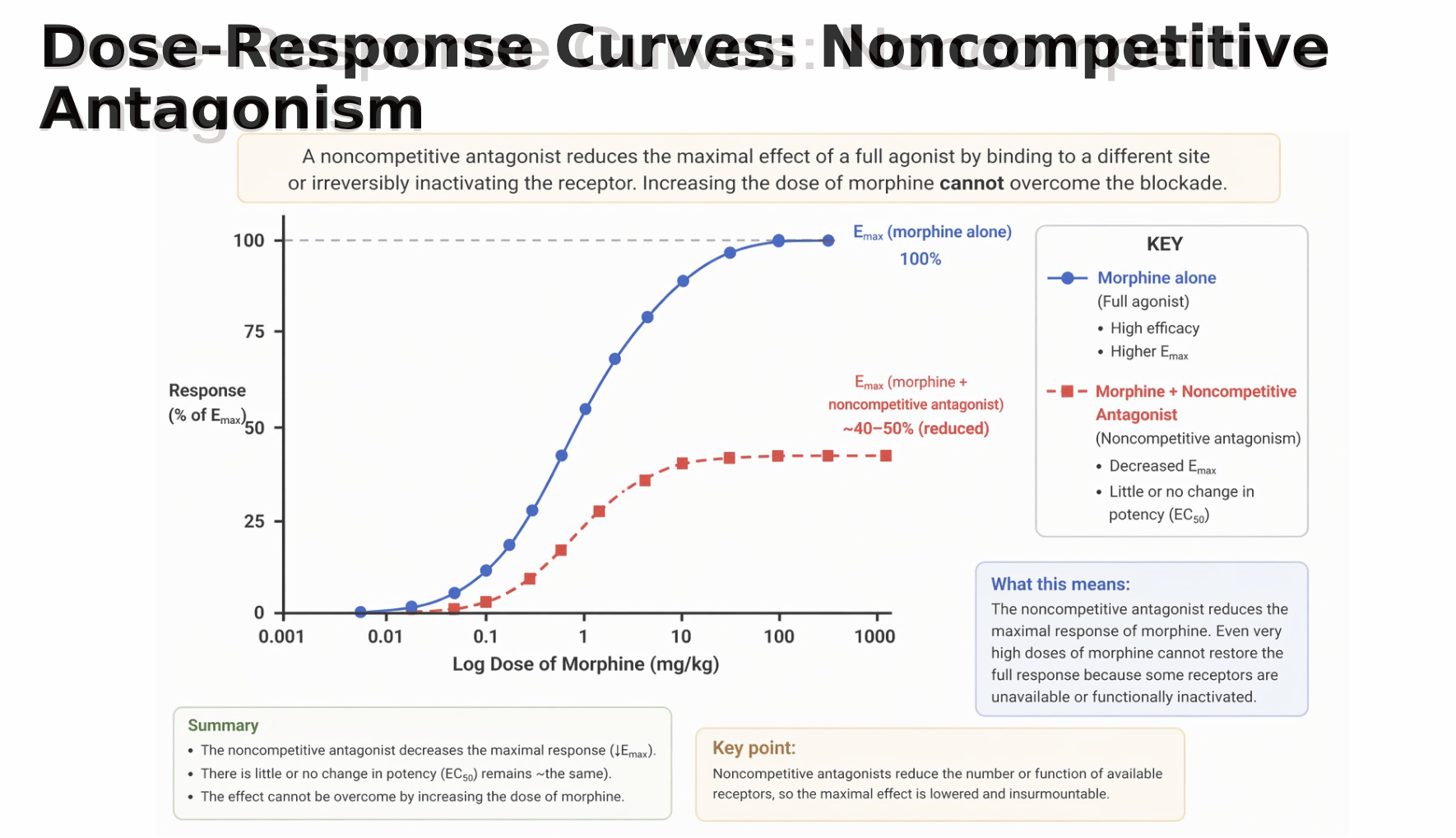 <p><strong>Competitive antagonism</strong> shifts the agonist dose-response curve to the <strong>right</strong> without lowering Emax, </p><p>whereas <strong>noncompetitive antagonism</strong> lowers Emax and cannot be overcome by increasing the agonist dose.</p><p></p><p><strong>Competitive antagonist</strong></p><p>The lecture's morphine + naloxone graph shows a <strong>rightward shift</strong>.</p><p>That means:</p><ul><li><p>more morphine is needed for the same response</p></li><li><p>apparent potency decreases</p></li><li><p><strong>Emax stays the same</strong></p></li></ul><p>Why?</p><p>Enough morphine can eventually outcompete naloxone.</p><p></p><p><strong>Noncompetitive antagonist</strong></p><p>The lecture's noncompetitive-antagonist graph shows a <strong>lower plateau</strong>.</p><p>That means:</p><ul><li><p><strong>Emax decreases</strong></p></li><li><p>giving more morphine cannot restore the full response</p></li><li><p>EC50 has little or no change in the professor's example</p></li></ul><p>So when looking at an exam graph:</p><blockquote><p><strong>Right shift + same Emax → competitive</strong></p></blockquote><blockquote><p><strong>Lower Emax → noncompetitive</strong></p></blockquote><p><span data-name="bulb" data-type="emoji">💡</span> <strong>Think:</strong><br><strong>Competitive moves sideways.</strong><br><strong>Noncompetitive pushes the ceiling down.</strong></p>