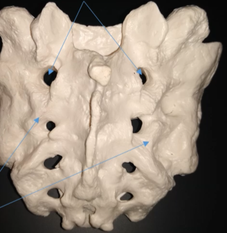<p>What are these holes called?</p>