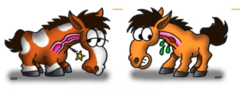 <p>1. Oesophageal Ulceration, Inflammation, Perforation, and rupture. Cellulitis, Abscessation, Diverticuli, motility disorders, oesophageal reflux, laryngeal/pharyngeal trauma when passing stomach tubes, aspiration pneumonia, megaesophagus, recurrent choke episodes</p><p>2. Prognosis good if treated within 24h. Time obstructed reflects prognosis. Often sequelae/complications are what causes problems</p>