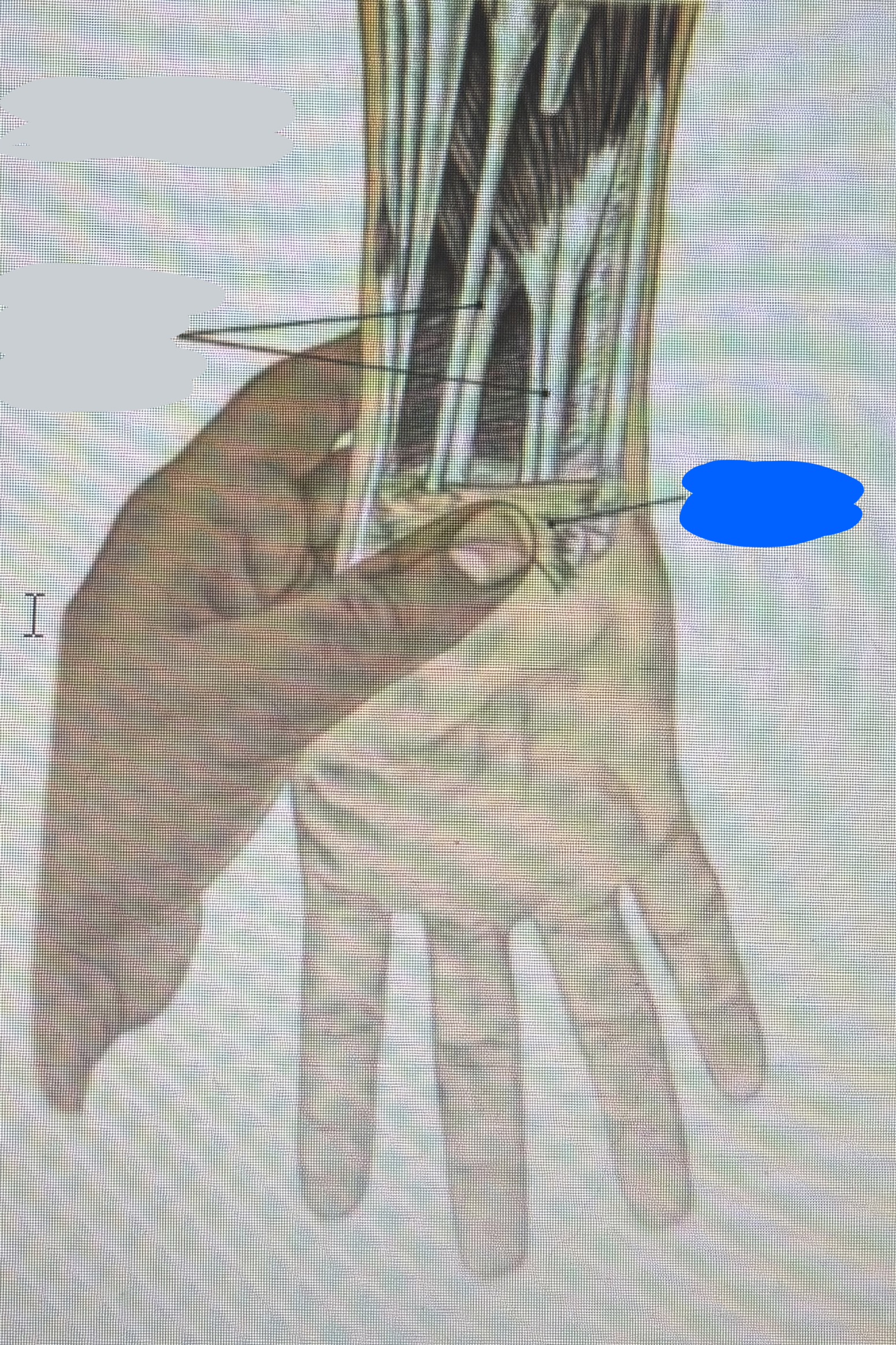 <p>BLUE</p>