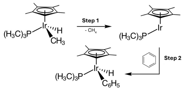 <p>What type of reaction occurs in Step 1 and Step 2 as shown below?</p><p>a. Dissociation, oxidative addition</p><p>b. Reductive elimination, oxidative addition</p><p>c. β – elimination, oxidative addition</p><p>d. Dissociation, insertion reaction</p><p>e. Addition, reductive elimination</p>