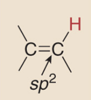 <p>sp2 carbon alkene </p>