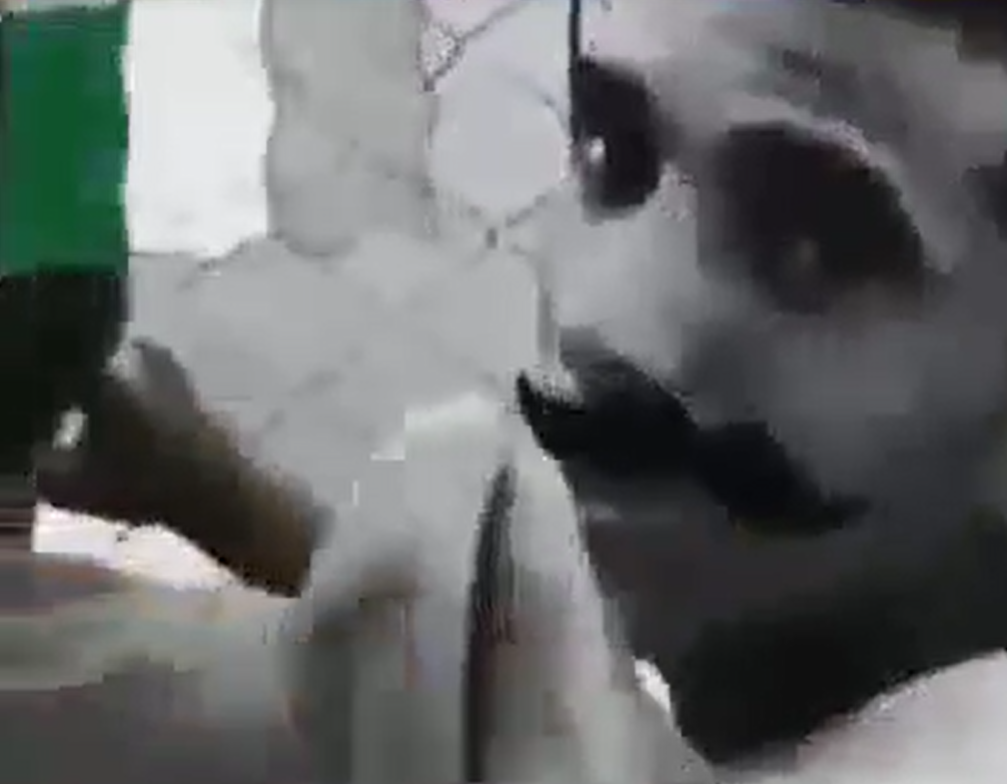 <p>Give two reasons why an increase in the diversity of trees in the rainforest leads to an increase in animal diversity</p>