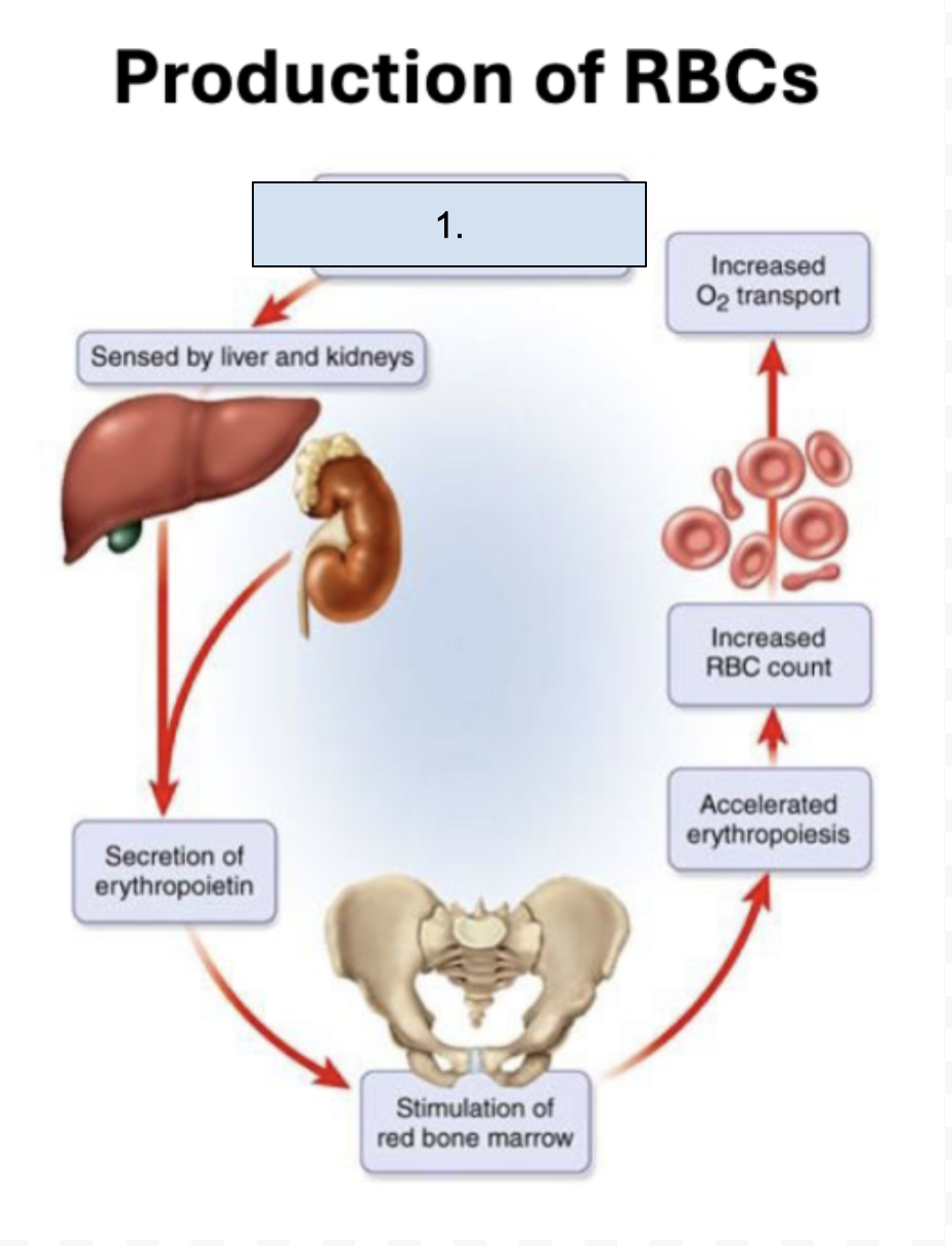 <p>What is happening in this step?</p>