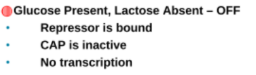 <p><span>Glucose present, lactose absent</span></p>