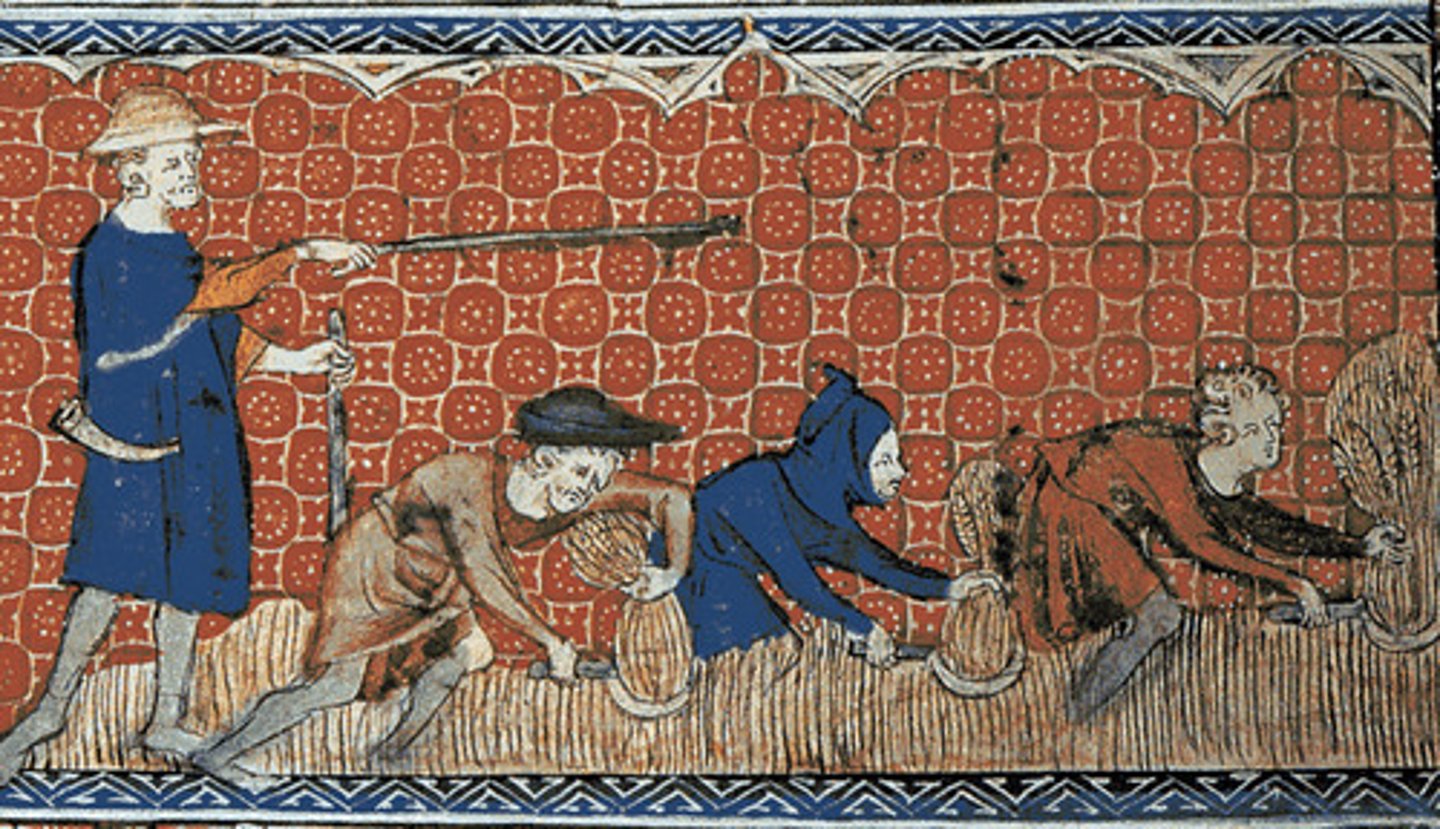 <p>a medieval peasant legally bound to live on a lord's estate, could not lawfully leave the place where they were born, what their labor produced belonged to the lord, peasants, majority of population, owed taxes to the lord and the church</p>