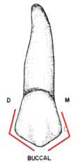 <p>less</p>