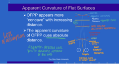 <p>At the Abathic distance (1m), describe both the AFPP and OFPP?</p>