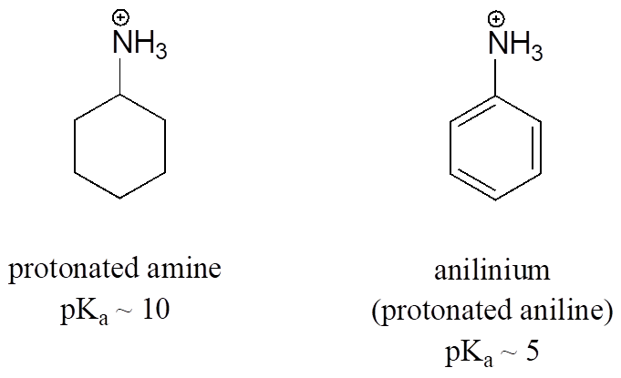 <p>Positive Nitrogen / Protonated Primary Amine</p>