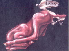 <p>Describe this position</p>