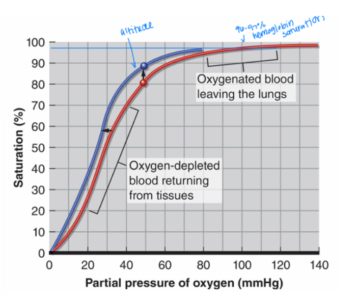 <p>What happens to the hemoglobin curve at high altitude?</p>