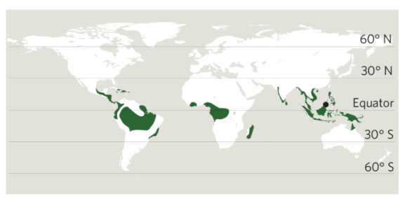 <p>what biome is this based off the description?</p><ul><li><p>vertically layered (creates different layers of nutrients); competition for light is intense</p></li><li><p>animal diversity is high compared to the other terrestrial biomes</p></li><li><p>equatorial with little fluctuation in temperature (helps maintain diversity)</p></li><li><p>rapid nutrient cycling (causes poor soil with very low nutrients) </p></li></ul><p></p>