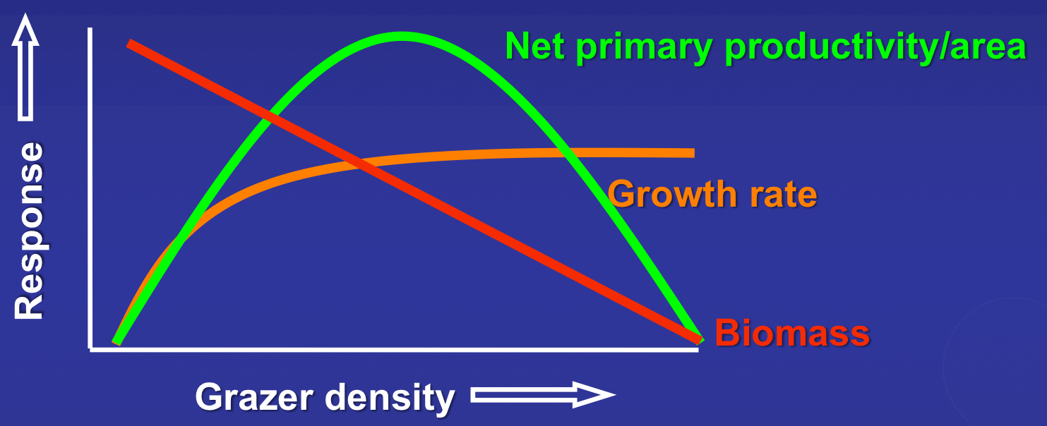 <p>what is the general model for how algae respond to grazing pressure?</p>