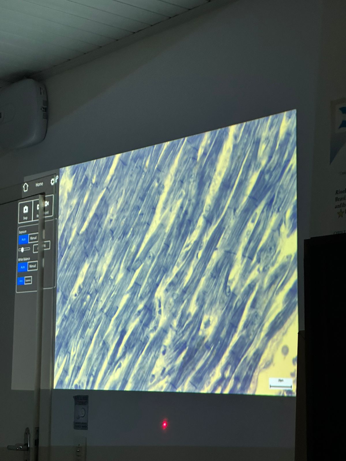 term image