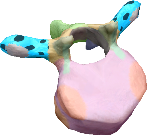 term image