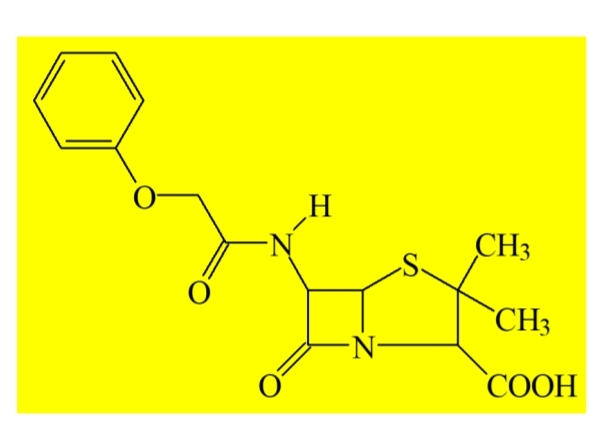 <p>Penicyliny naturalne o wąskim zakresie działania (odporne na kwas żołądkowy)</p><p class="has-focus">wrażliwe na penicylinazę</p><p class="has-focus">działa bakteriobójczo poprzez:</p><ul><li><p>wiązanie z <strong>białkami PBP (Penicillin-Binding Proteins)</strong>,</p></li><li><p>hamowanie syntezy peptydoglikanu ściany komórkowej bakterii,</p></li><li><p>uszkodzenie ściany komórkowej,</p></li><li><p>lizę i śmierć bakterii.</p></li></ul><p>głównie na gram dodatnie +</p><p>głównie w zakażeniach paciorkowcowych gardła i skóry.</p>