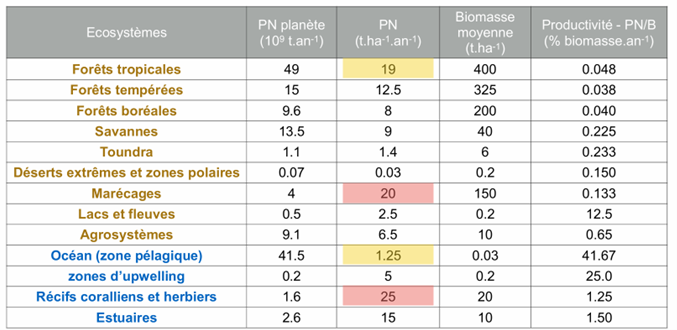 <p>Les forêts tropicales présentent une production nette élevée (environ 19 t·ha⁻¹·an⁻¹) et une biomasse très importante (environ 400 t·ha⁻¹). Ce qui signifie qu’elles stockent de grandes quantités de carbone.</p><p>Elles couvrent aussi une surface considérable de la planète.</p><p>Ces deux facteurs expliquent qu’elles contribuent fortement à la production primaire globale de la Terre.</p>
