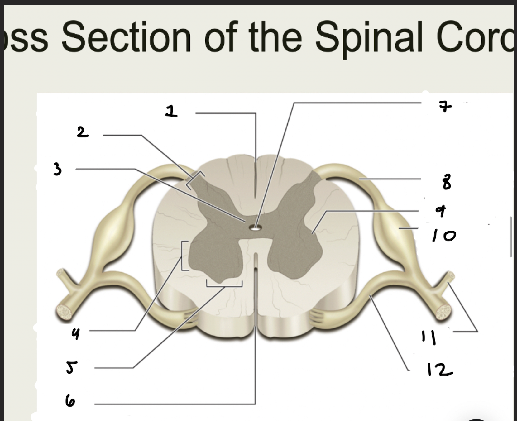<p>1.XX</p><p>2.XX</p><p>3.XX</p><p>4.XX</p><p>5.XX</p><p>6.XX</p><p>7.XX</p><p>8.XX</p><p>9.XX</p><p>10.XX</p><p>11.XX</p><p>12.XX</p>