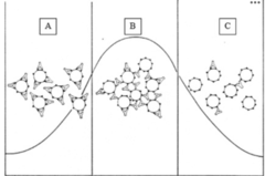 <p>B</p>