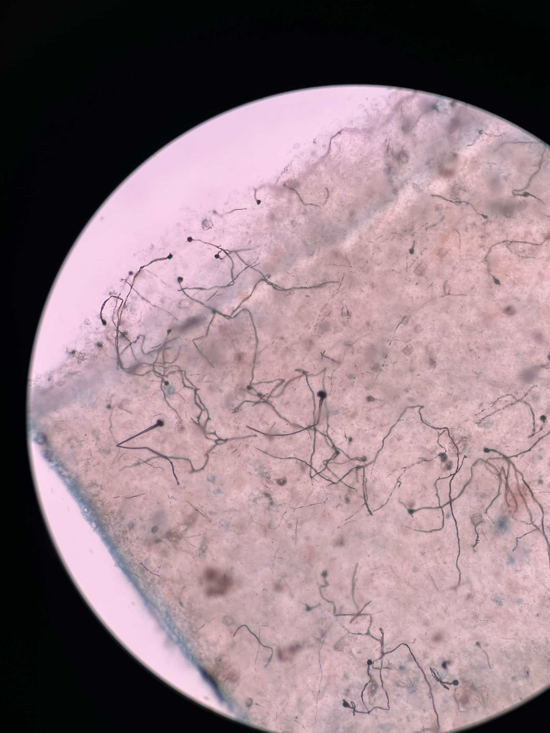 <p>What is this?</p>