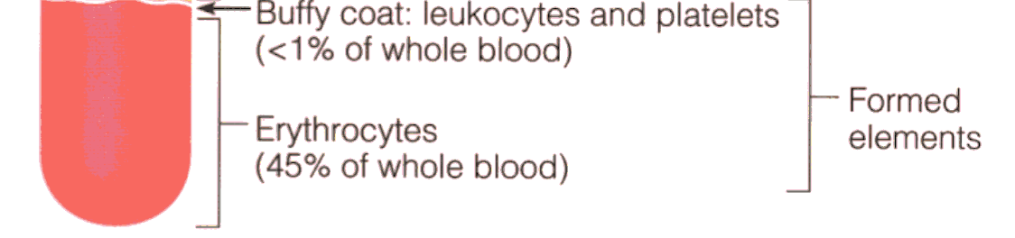 <p>1) RBCs (erythrocytes)</p><p>2) WBCs (leukocytes),</p><p>3)) platelets (thrombocytes)</p><p></p>