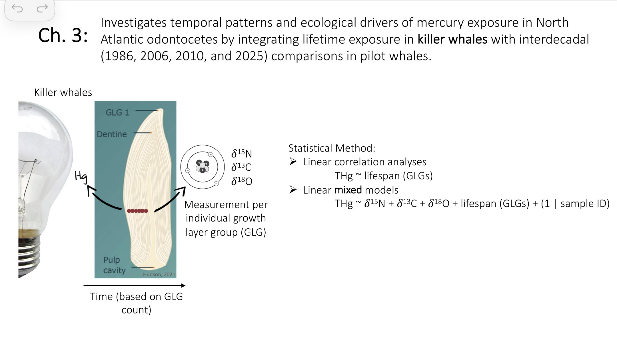 <p>Investigates temporal patterns and ecological drivers of mercury exposure in North Atlantic odontocetes by integrating lifetime exposure in killer whales with interdecadal (1986, 2006, 2010, and 2025) comparisons in pilot whales.</p>