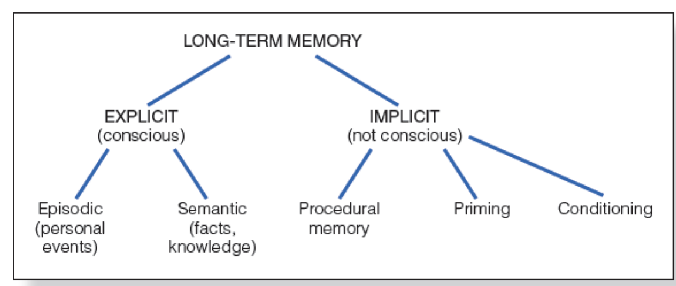 <p>typical conceptual divisions; Larry Squire’s model</p><ul><li><p>Explicit (conscious) (consiously aware of) (have to think of but always there):</p><ul><li><p>episodic (personal events)</p></li><li><p>semantic (facts, knowledge)</p></li></ul></li><li><p>Implicit (not conscious) (don’t have to recall as use info):</p><ul><li><p>procedural memory</p></li><li><p>priming</p></li><li><p>conditioning</p></li></ul></li></ul><p></p>