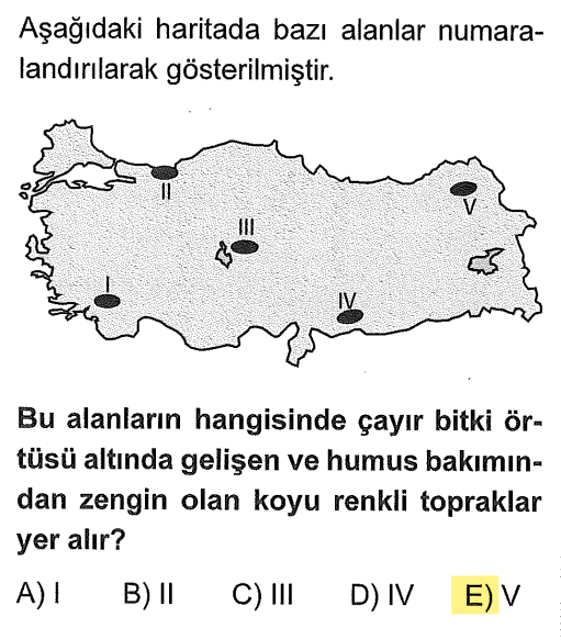 <p>Haritada V numaralı yer Erzurum-Kars çevresidir.</p>