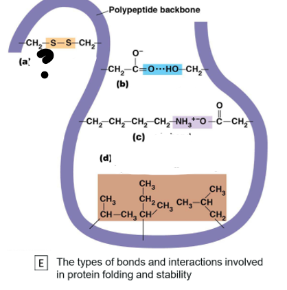 <p>Which bond is (a) ?</p>
