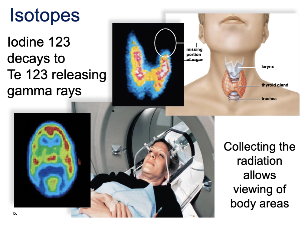 <ul><li><p>a type of isotope that is useful in dating old objects through decay of C14, imaging body organs and tissues through alpha, beta, gamma rays and x-rays, and killing cancer</p></li><li><p>any radiation can be harmful by damaging cells and DNA and/or causing cancer</p></li></ul><p></p>