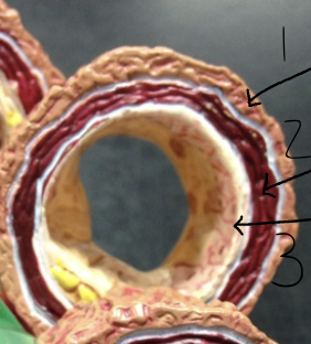 <p>1</p>