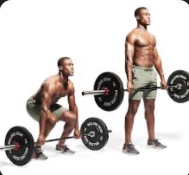 <p>Deadlift target muscle</p>
