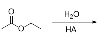 <p>mechanism</p>