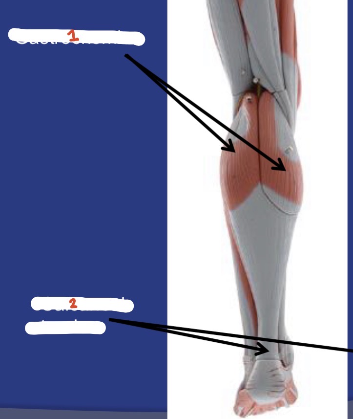 <p>1</p>