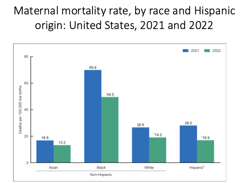 <p>Maternal Mortality:</p>