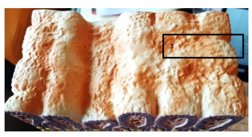 <p>What is this?</p>