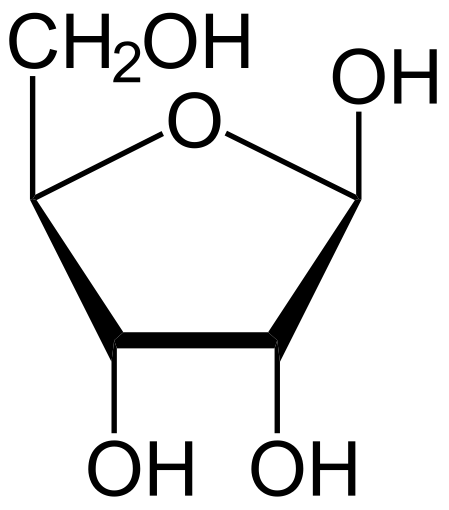 <p>Ribose</p>