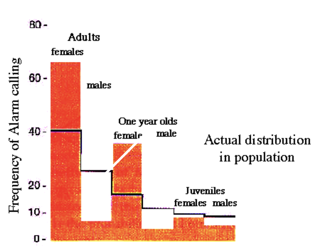<p>Females call far more than males at every age group (from juveniles to adults) </p>