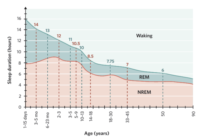 <p>Using this graph, comment on what changes occur:</p><p></p>