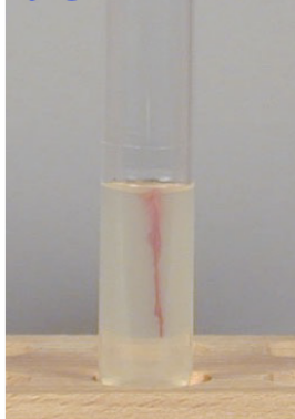 <p>Describe deep </p>