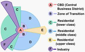 <p><span>An urban model that suggests that cities grow in a series of sectors, with certain areas becoming more desirable for various activities.</span></p>